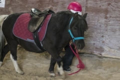 1_QILIN-SEP-19-13-sur-18