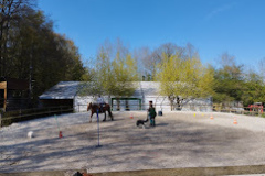 IMG_20230408_162510